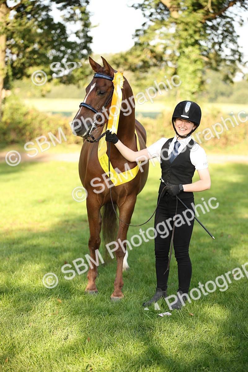 SBM_57589 - S50 - Foreign Breeds In Hand