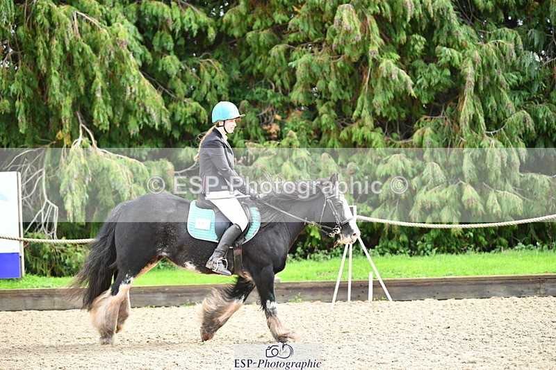 251004A-121824-00982 - Classes 4 & 5 50cm