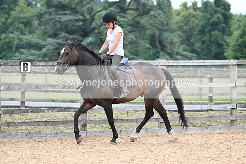 WJ7_9277 - Poles 14:00