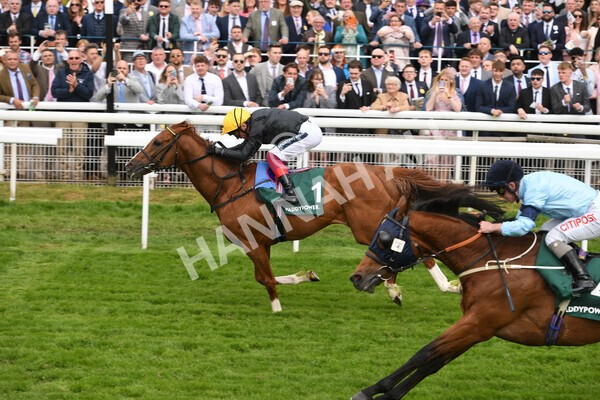 yr13052022r4-53 - Race 4 3.35pm The Paddy Power Yorkshire Cup (British Champions Series Race)