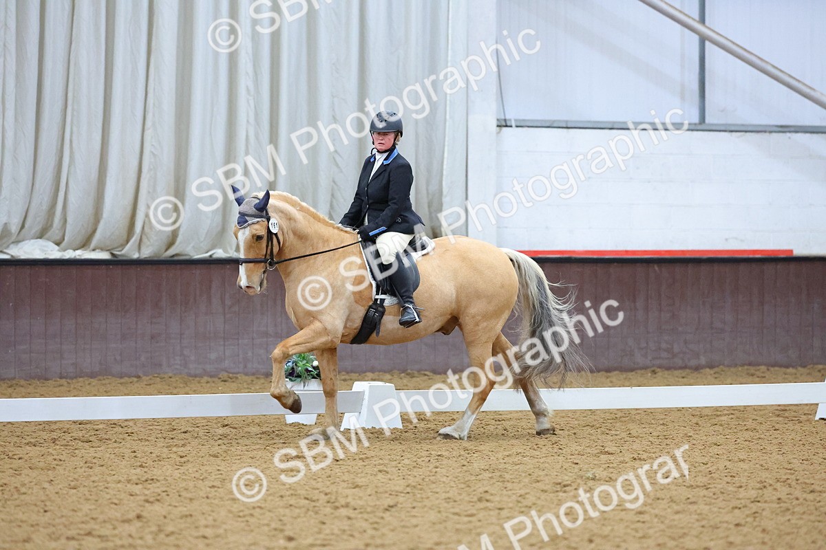 SBM_000883 - Novice