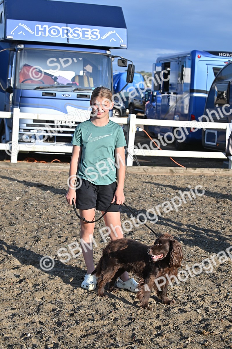 SBM_09389 - Lorry Dogs