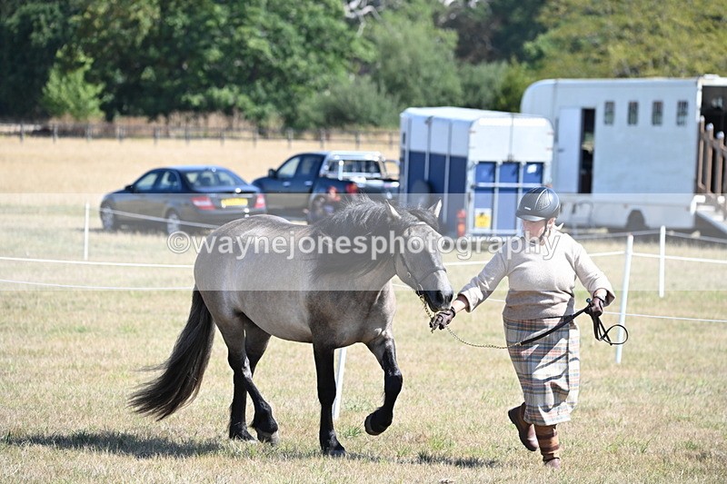 WJ6_4478 - Class 17 Mountain & Moorland