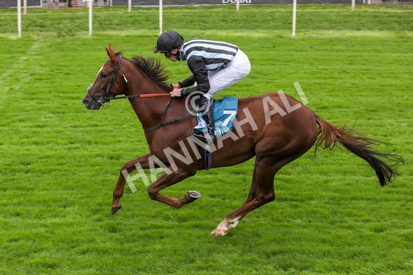 230923-Race 2-Palamon-5257 - Race 2 2.35pm jigsawsportsbranding.co.uk Handicap