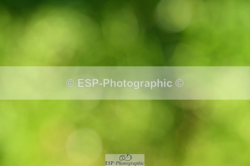 231110-133248-01619 - Cls 6 Elementary 57Q