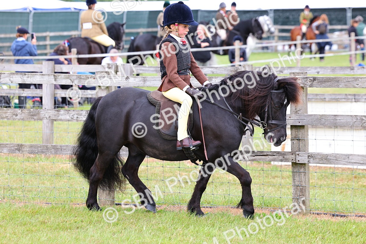 SBM_08497 - Class 42-43 - LIHS BSPS Heritage Working Sports Pony