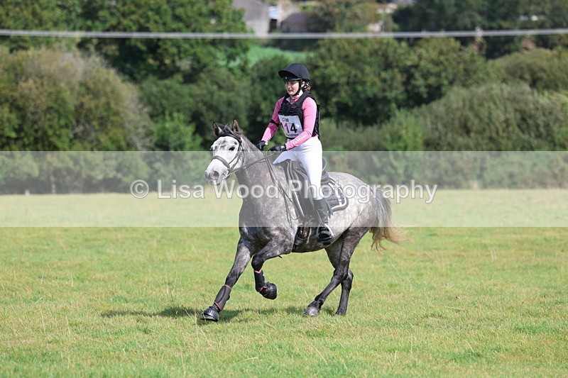 3E7A6613 - Class 1: Trebudannon Open: Pheasant Feeder