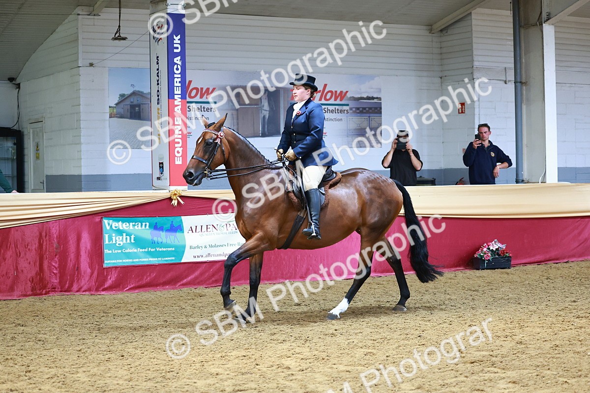 SBM_23359 - class 906 - Supreme Final - Ridden Pre Vet