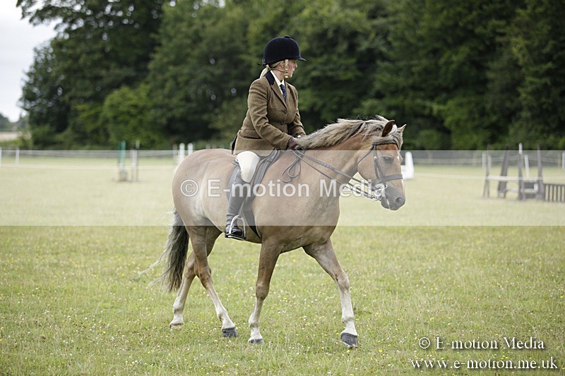 BVR160717-1298 - Ring 1 BVRC Show 16/07/17