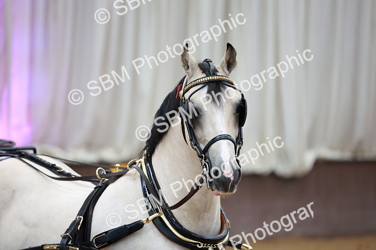 SBM_000038 - Class 1 - Non Hackney Private Drive 13.2hh and Under