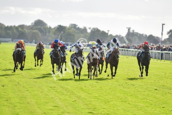 141023-Race 2-Whiskey Pete-0755 - Race 2 1.50pm Play Coral 'Racing-Super-Series' For Free Nursery Handicap