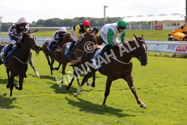 yr11062021r3-28 - Race 3 2.55pm SKF Rous Selling Stakes