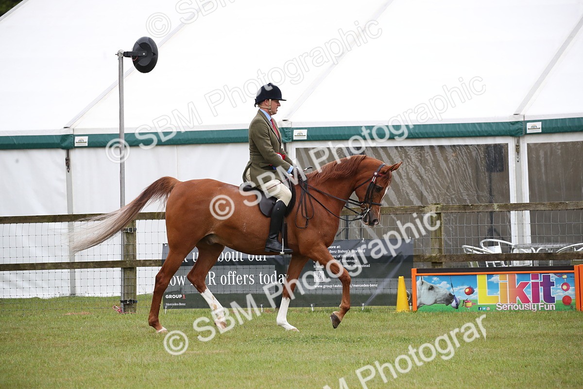 SBM_03653 - Class 21 - 22 - Ridden Arab and Part Bred/Anglo Arab