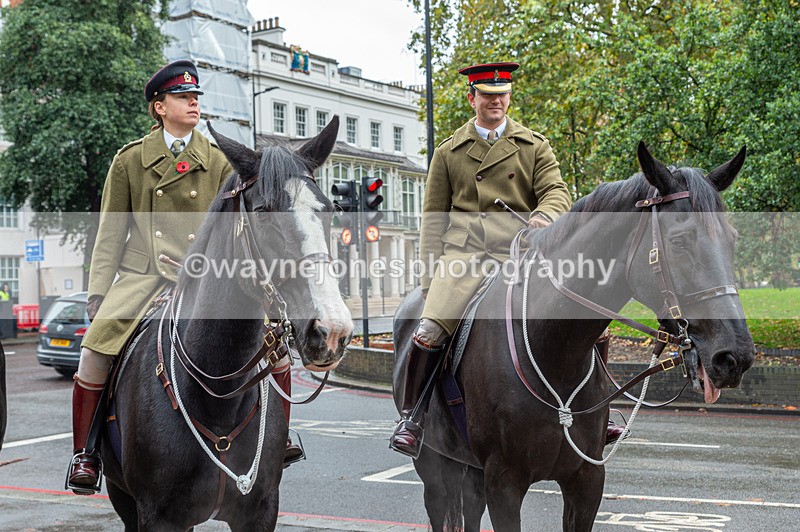 NGP_7080 - Animals In War Memorial - 10-11-23