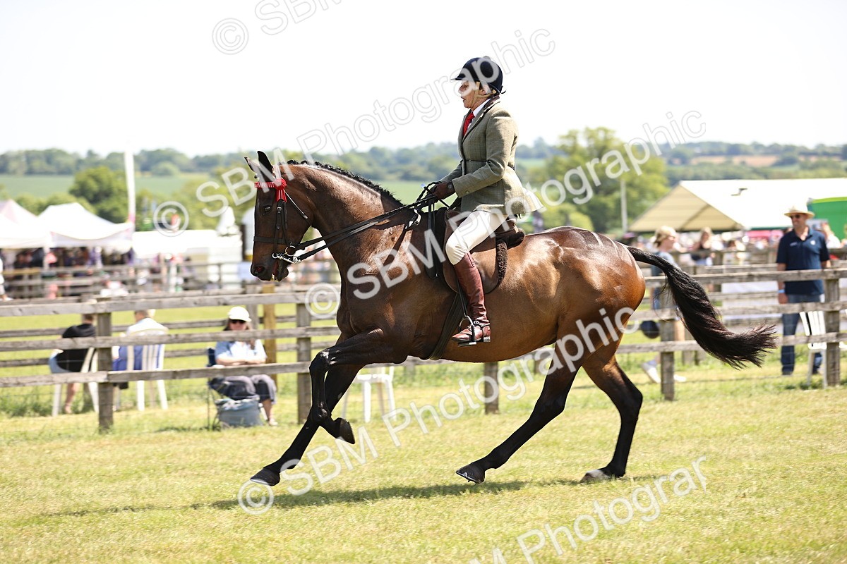 SBM_14920 - Class 78 - LIHS BSHA Open Racehorse & Show Horse