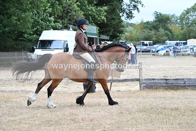 WJ7_0544 - Class 6 Ridden Mountain and Moorland