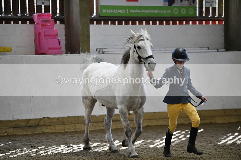 WJ5_4539 - Class 3 Part Bred In hand