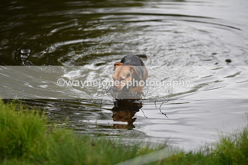 WJ5_5180 - Time 12:04 to 13:05