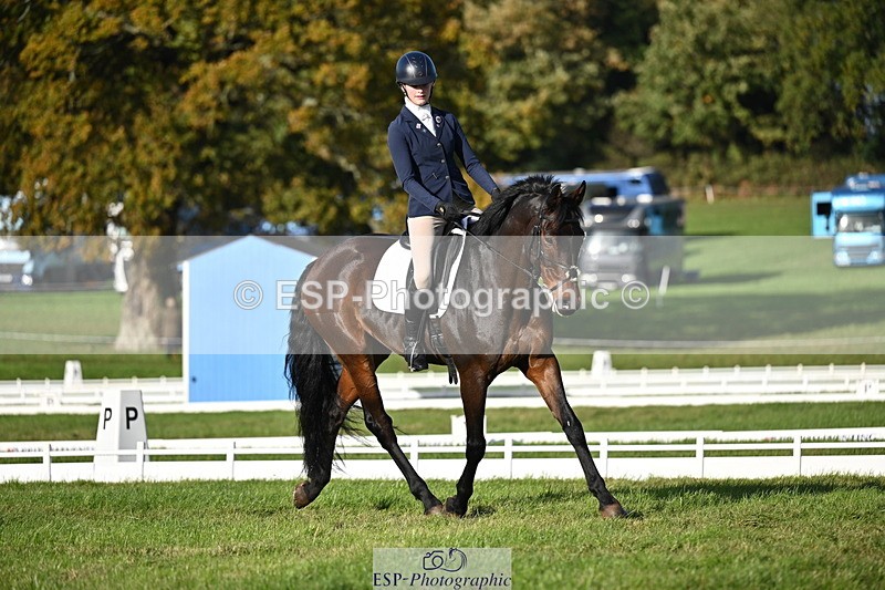 251024A-152307-14036 - E-397-Verity.Leggett