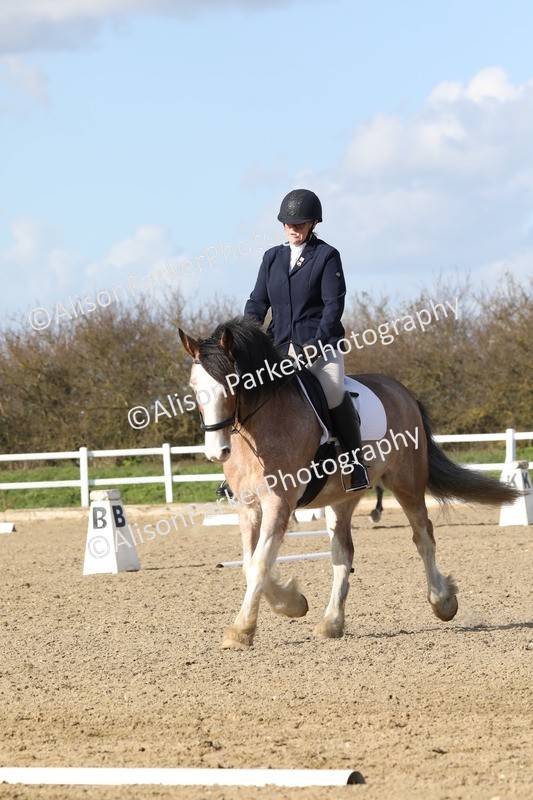 20260314-4989 - CT6 - Elementary 1