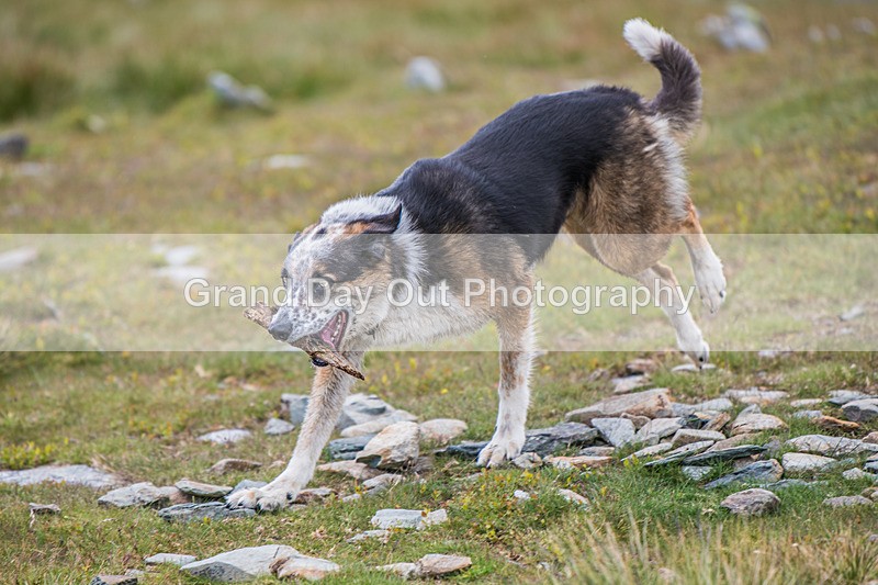 Buttermere-507 - Buttermere Horseshoe Fell Race (Darren Holloway Memorial Race) Saturday 22nd June 2024