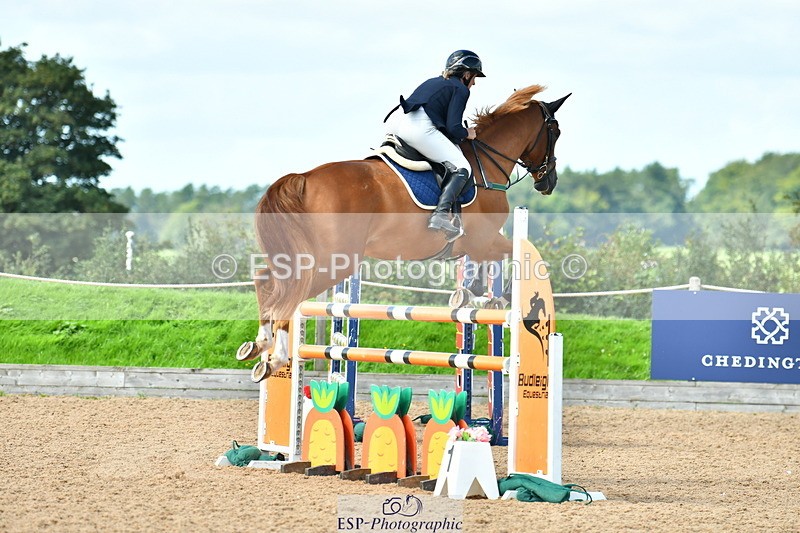 230811A-122933-04193 - Cls 20 Snr Fox