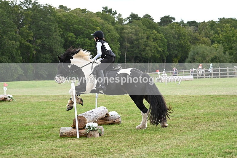 WJ7_8397 - 60cm Time 12:11 to 12:30