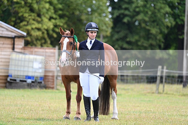 WJ7_6422 - Class 4a Prettiest Mare over 14hh