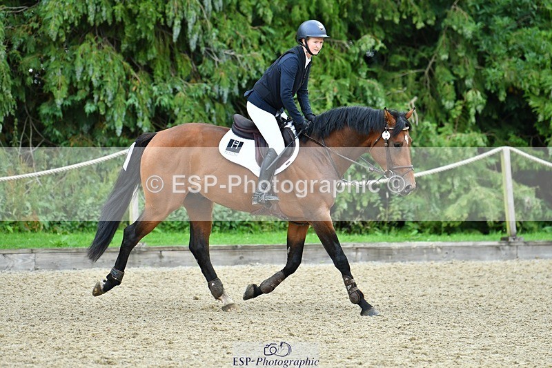 230715-094847-32347 - Cls 84 4 yr old Champ