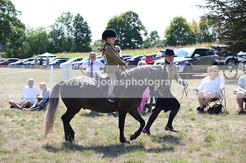 WJ6_7801 - Class 36 Lead Rein