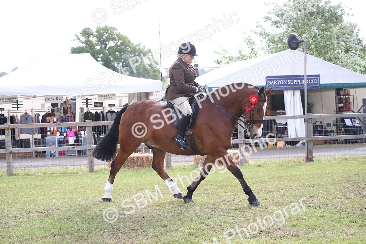 SBM_11172 - Class 92-93 - LIHS BSHA Rising Star Cobs