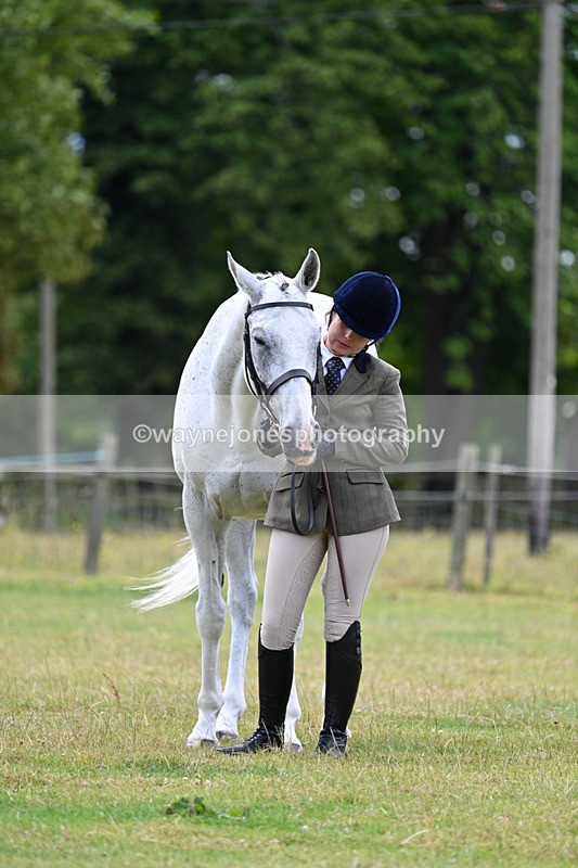 WJ7_7112 - Class 5a Most Handsome Gelding in Hand