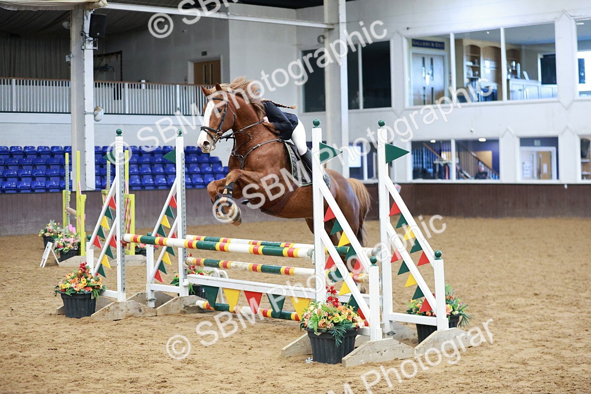 SBM_002998 - Class 9 - Senior British Novice - 90cm