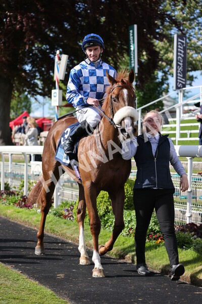 yr11052022r7-33 - Race 7 5.15pm British Stallion Studs EBF Novice Stakes