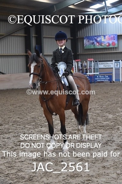 JAC_2561 - CLASS 3 Intermediate Working Hunter