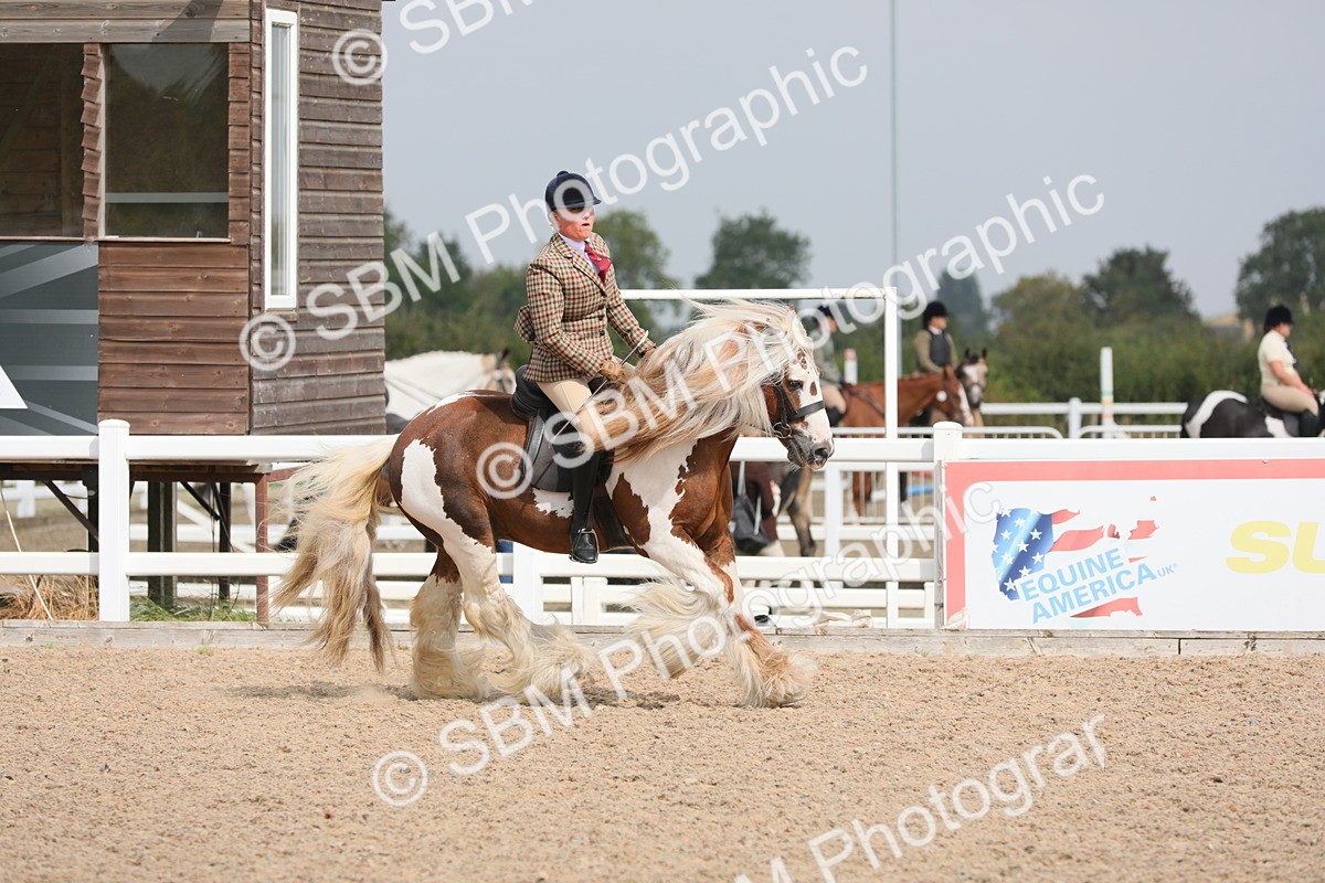 SBM_12776 - Class 307 Ridden Coloured Pony