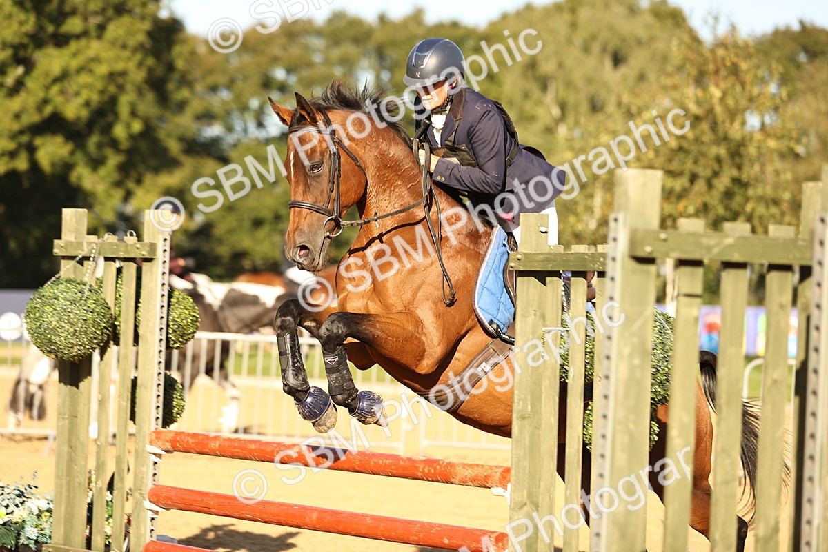 SBM_34594 - J38 - Senior 80cm Championship