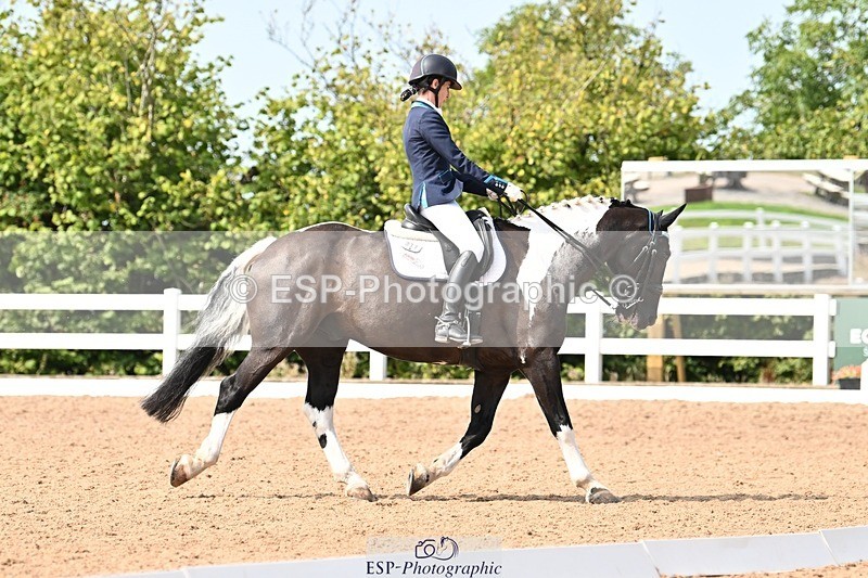 250815-112415-00597 - 037-Alys.MatraversTiger.Mazariti