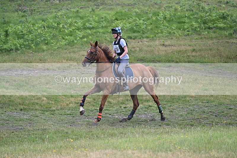 WJ7_9133 - Time 11:14 to 11:22