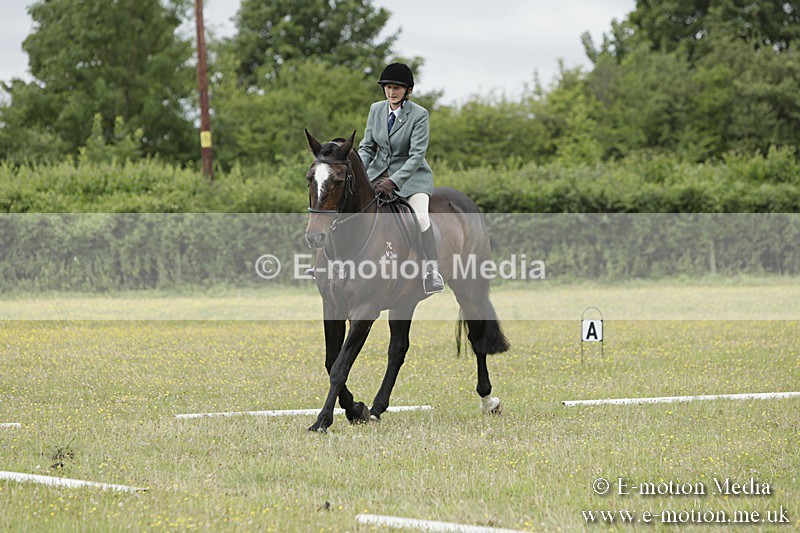 BVR160717-1397 - Class 3 Dressage 16/07/17