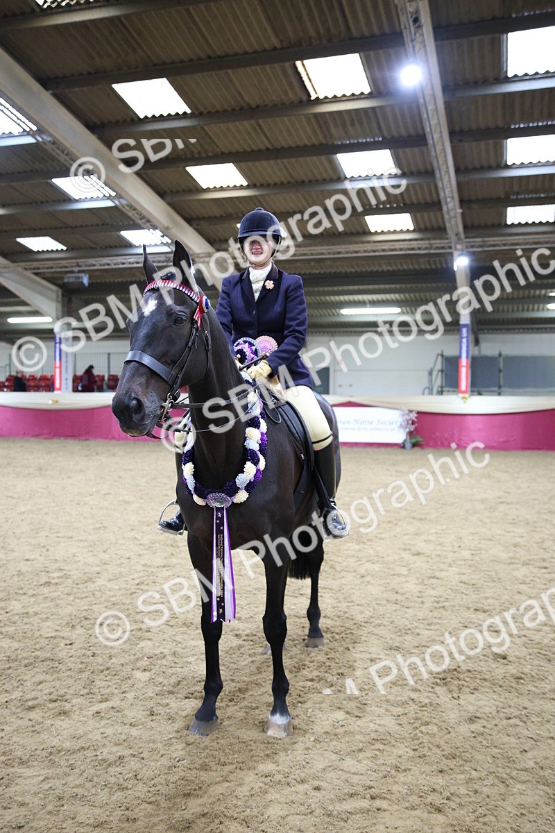 SBM_18634 - Class C Best Turned Out Champ