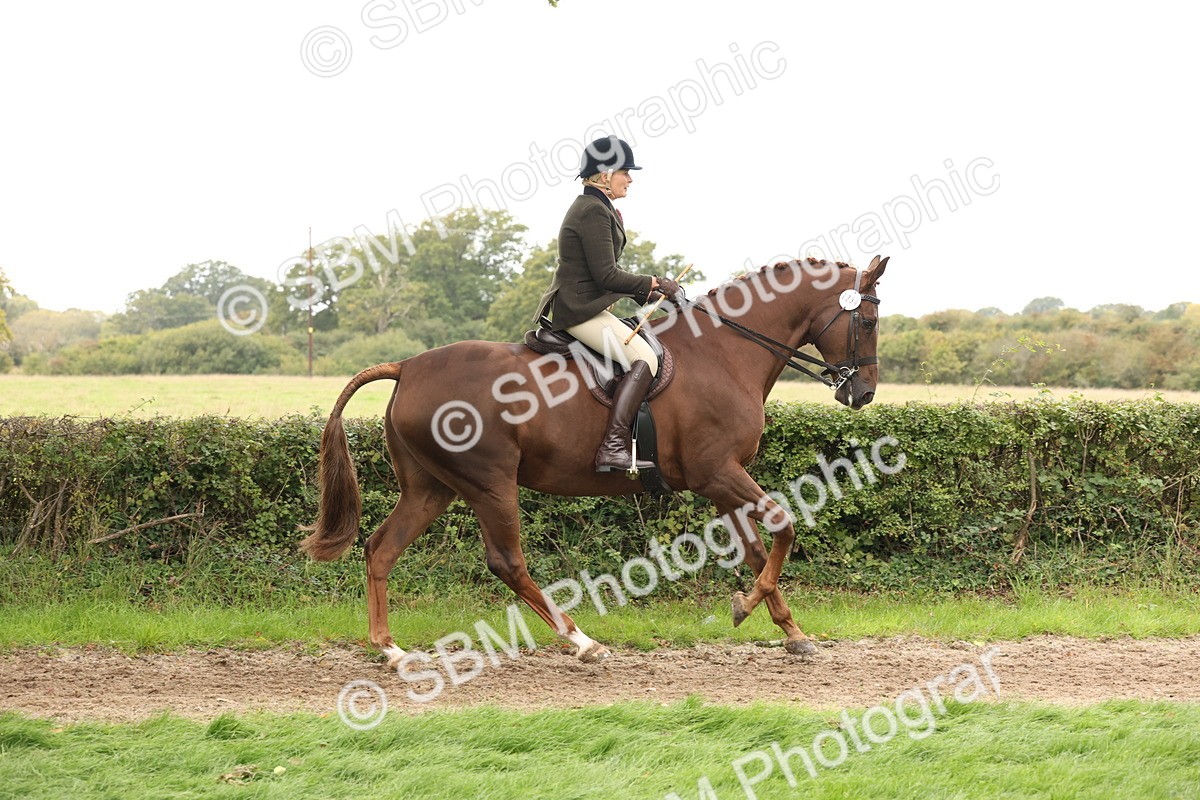 SBM_64220 - S65 - Riding Horse & Hack & Thoroughbred Ridden