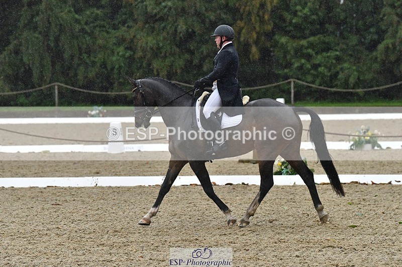 231018-153558-00821 - 011-BIG.QUERLYBET.K.Z-Paul.Whitehead-DR