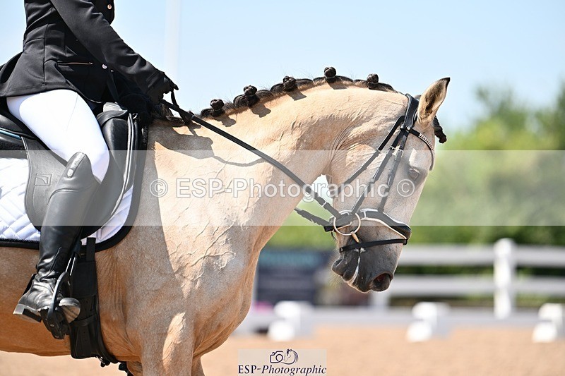 250620-145751-03825 - BD Cls 7 - Elementary 5, 14.40 to End