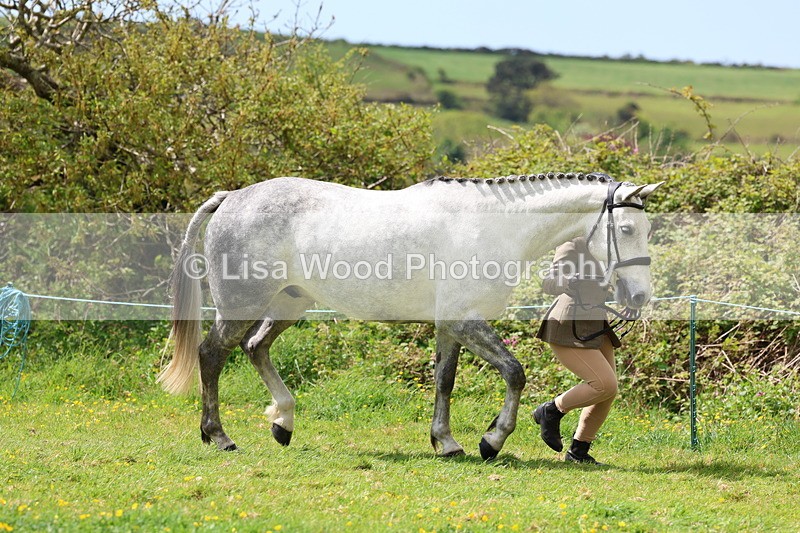 3E7A0448 - Class 20: Sports Horse