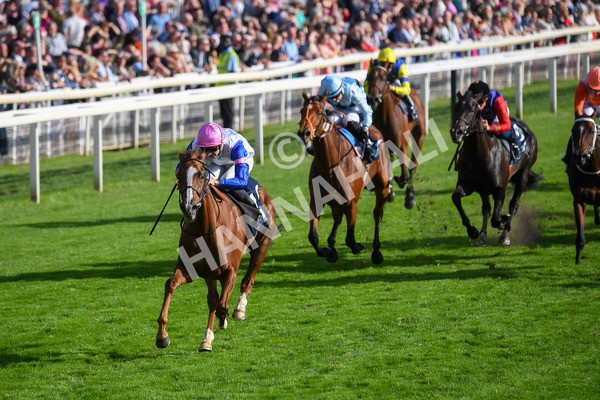 240823-Race 7-Nigiri-0864 - Race 7 5.20pm British EBF 40th Anniversary Fillies' Handicap