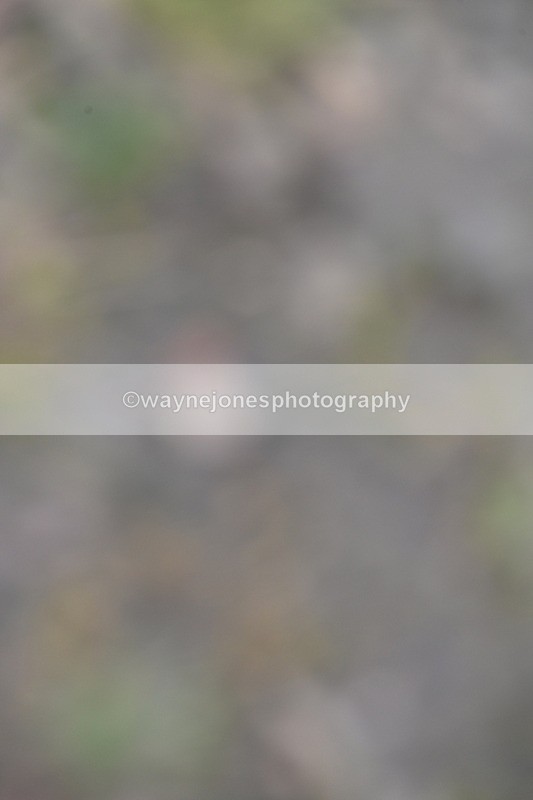 WJ6_2787 - Time 14:34 to 14:51