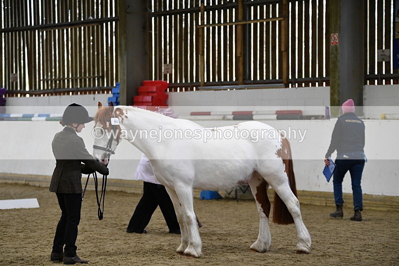 WJ5_5059 - Class 7 In hand coloured / odd coloured