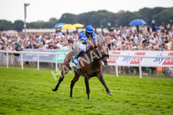 170623-Race 7-The Green Man-3235 - Race 7 5.25pm Clean Up With PPS Handicap