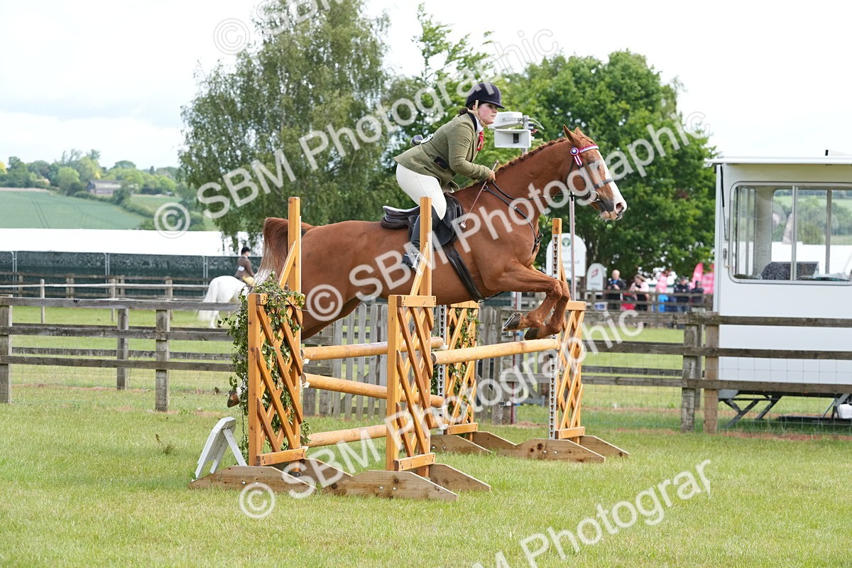 SBM_12909 - Class 99 - RIHS SEIB Working Show Horse